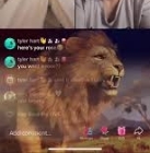 Tiktok lion gift